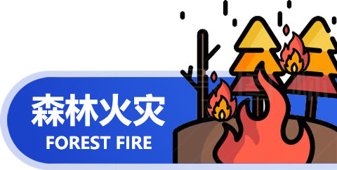 森林火灾